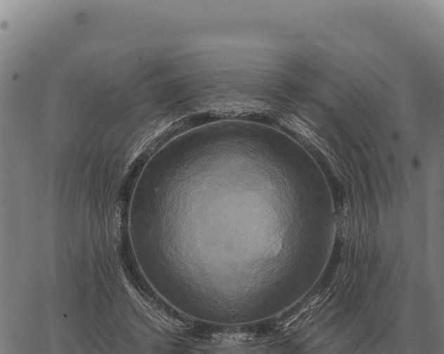 X0000066520448200603311758