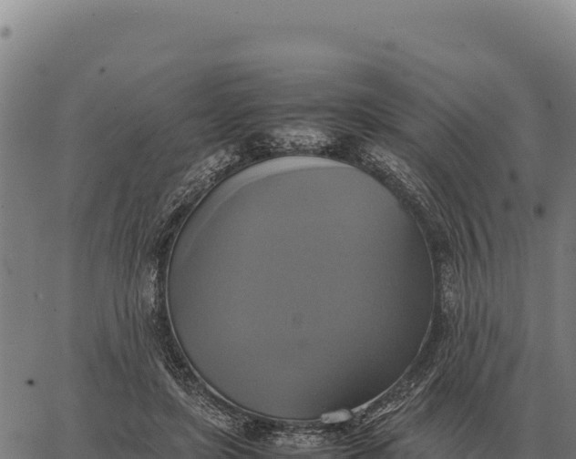 X0000066520451200603311758