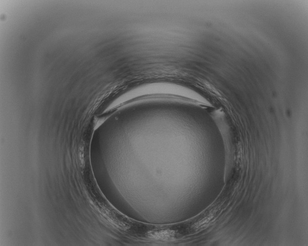 X0000066520452200603311758