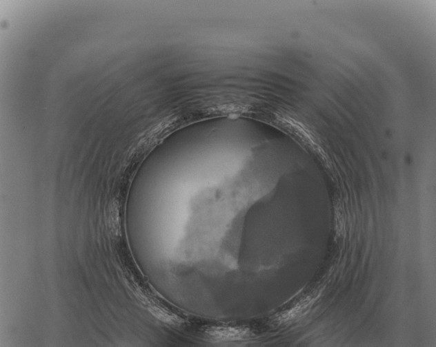 X0000066520453200603311758