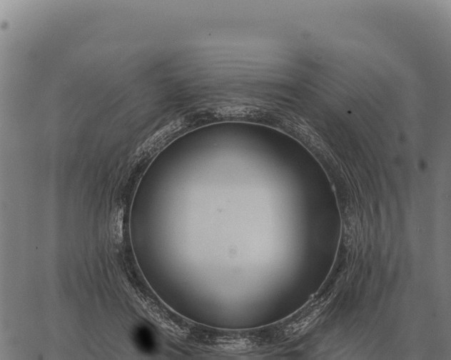 X0000066520454200603311758