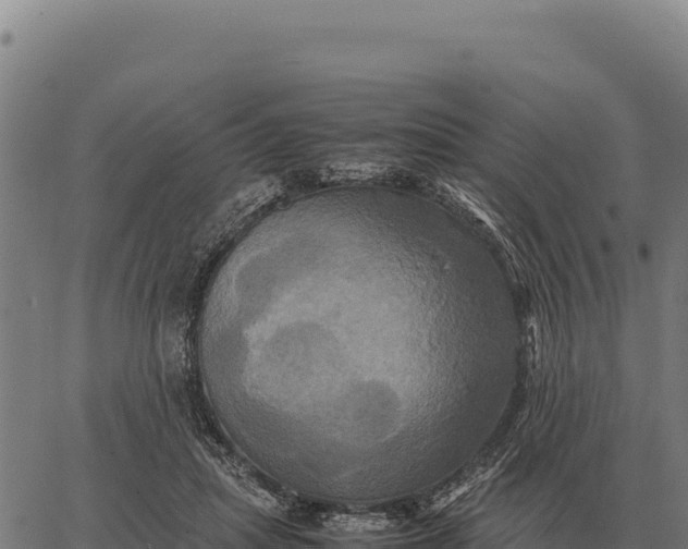 X0000066520455200603311758