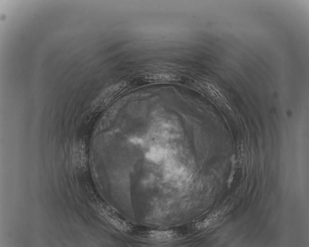 X0000066520457200603311758