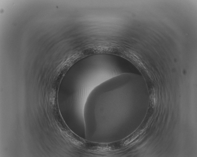 X0000066520458200603311758