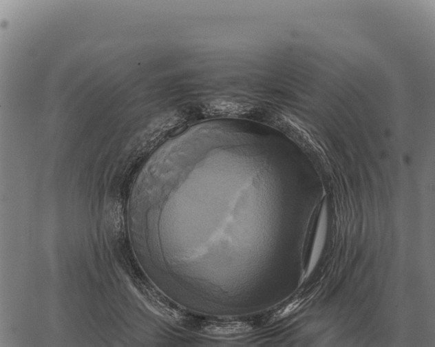 X0000066520459200603311758