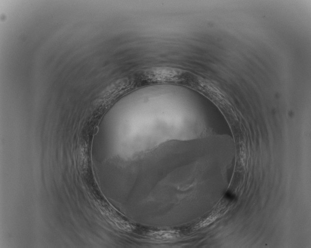 X0000066520461200603311758