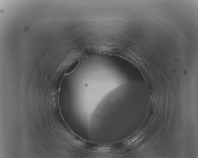 X0000066520462200603311758