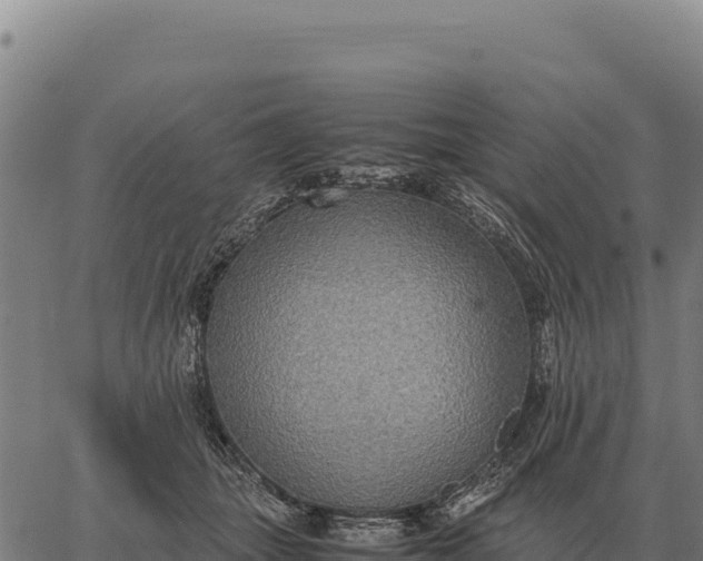 X0000066520463200603311759