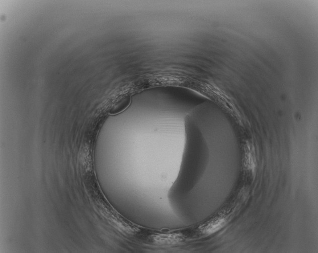 X0000066520465200603311759