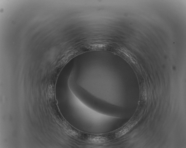 X0000066520467200603311759