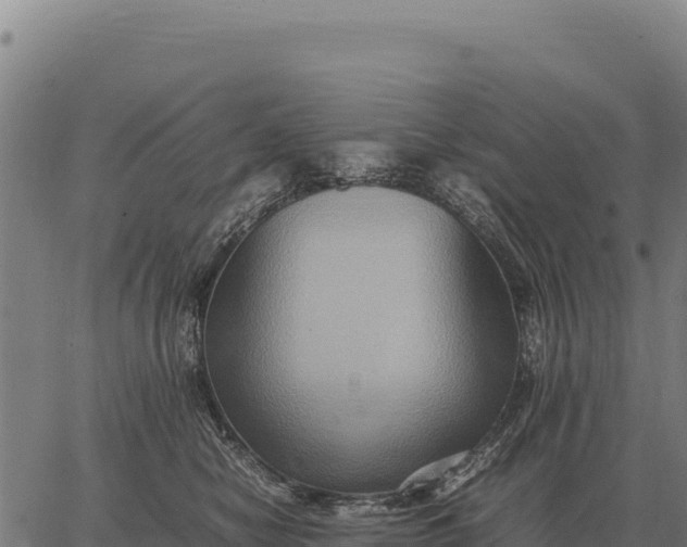 X0000066520470200603311759