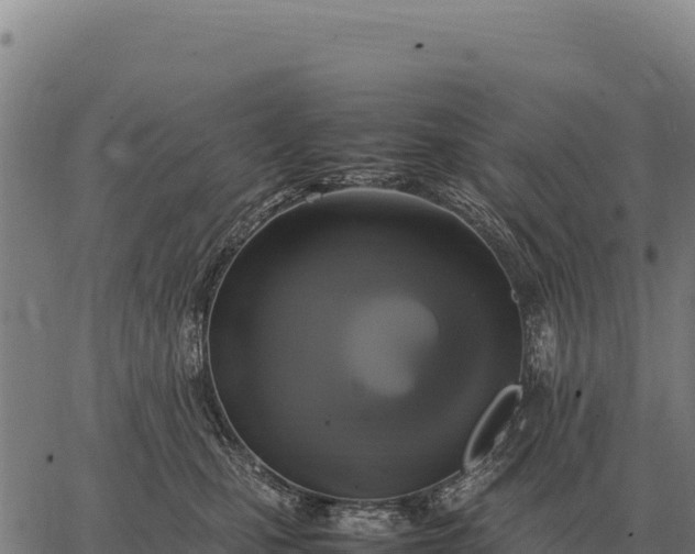 X0000066520471200603311759