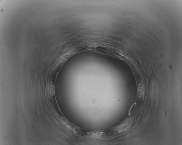 X0000066520474200603311759