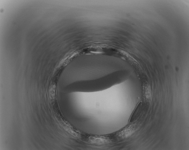 X0000066520475200603311759