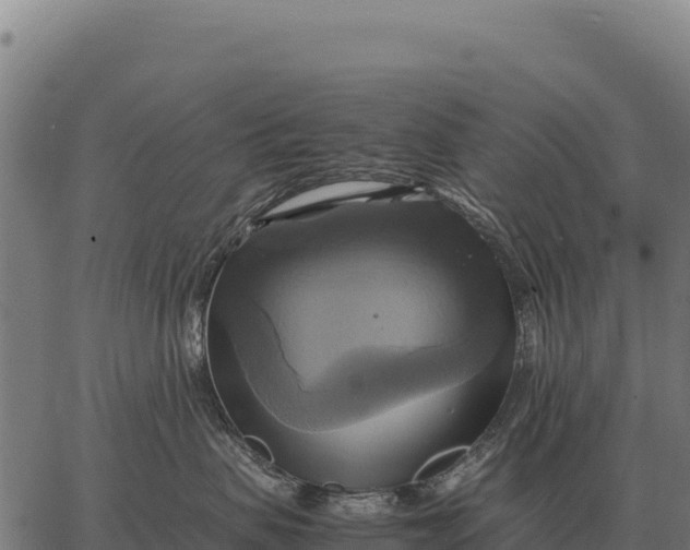 X0000066520479200603311759