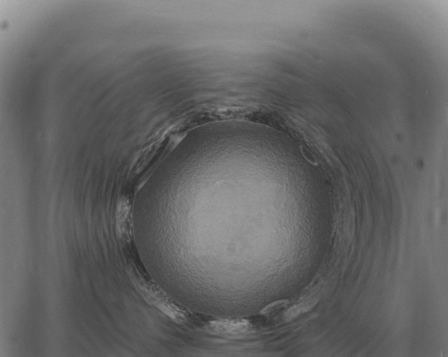 X0000066520480200603311759