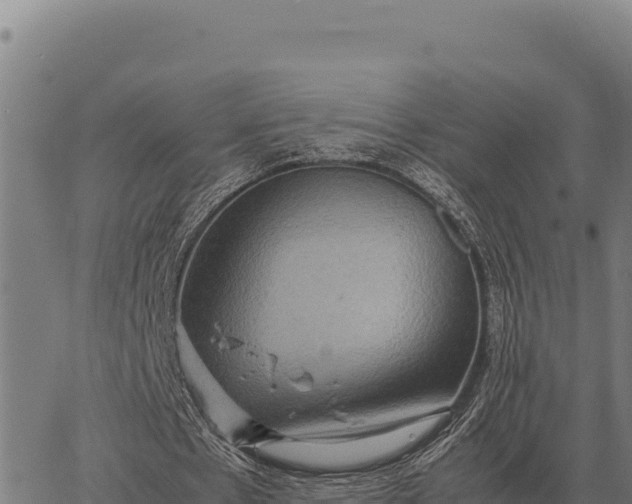 X0000066520481200603311758