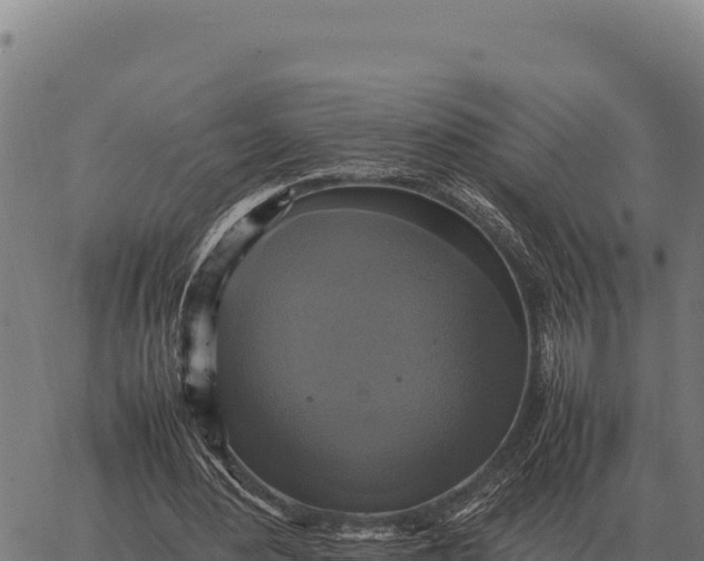 X0000066520484200603311758