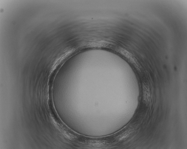 X0000066520486200603311758