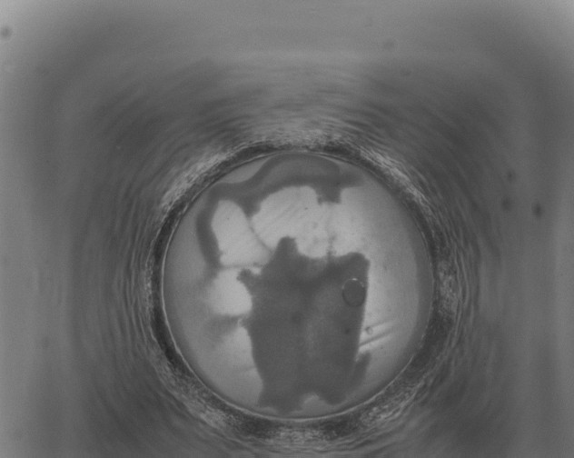 X0000066520487200603311758