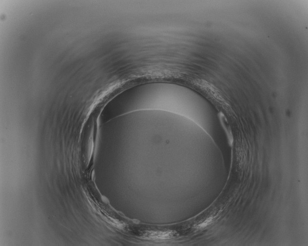 X0000066520488200603311758