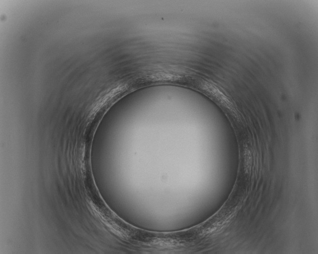 X0000066520490200603311758