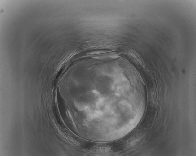 X0000066520491200603311758