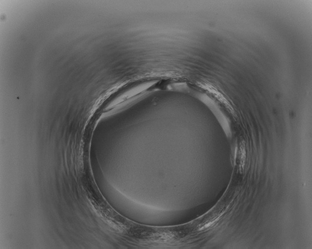 X0000066520492200603311758