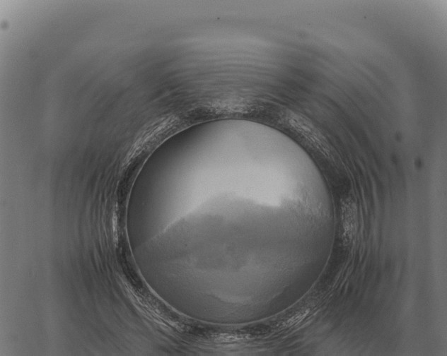 X0000066520494200603311758