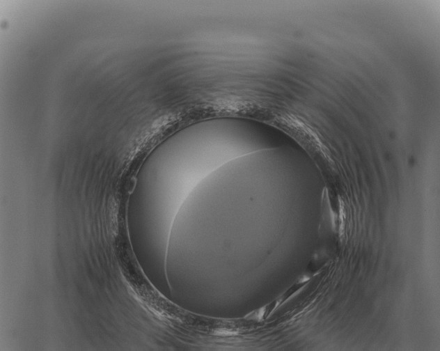 X0000066520496200603311758