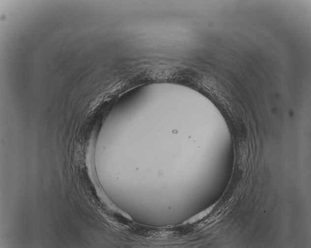 X0000066520497200603311758