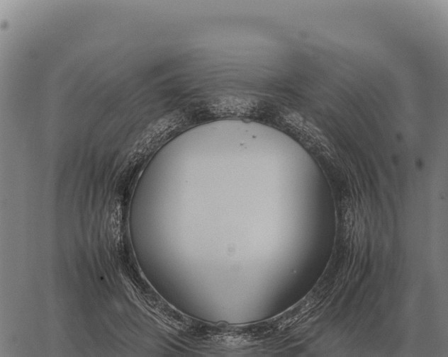 X0000066520498200603311758