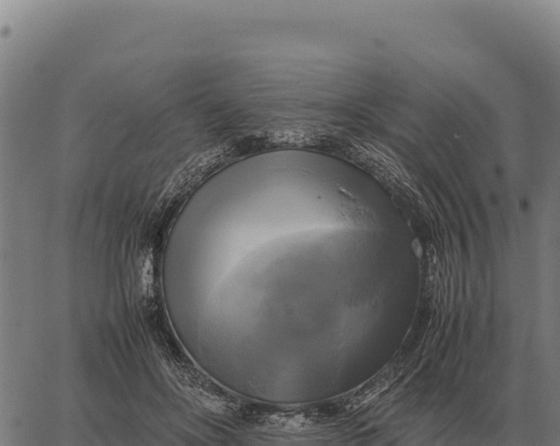 X0000066520502200603311758