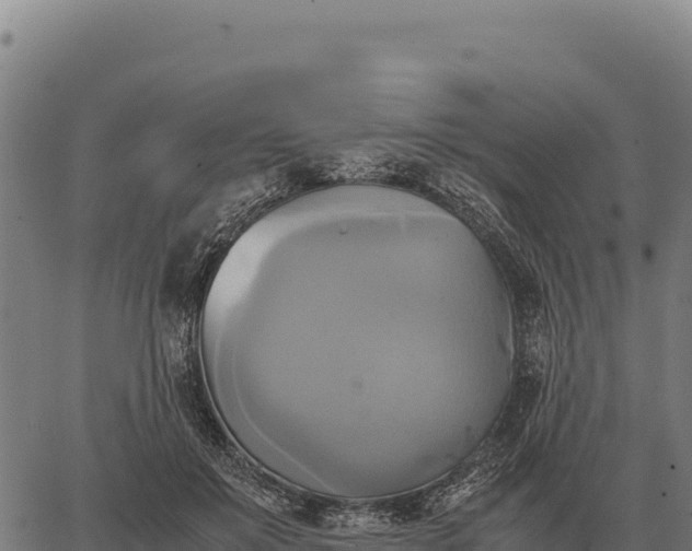 X0000066520503200603311758