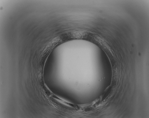 X0000066520505200603311758