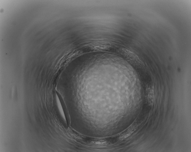 X0000066520506200603311758