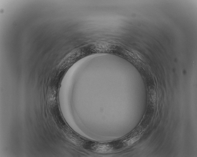 X0000066520507200603311758