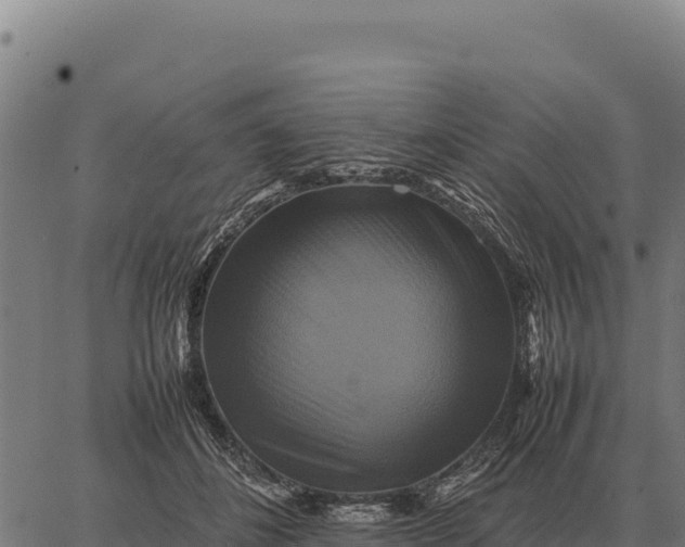 X0000066520508200603311758