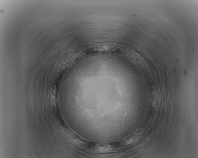 X0000066520510200603311758