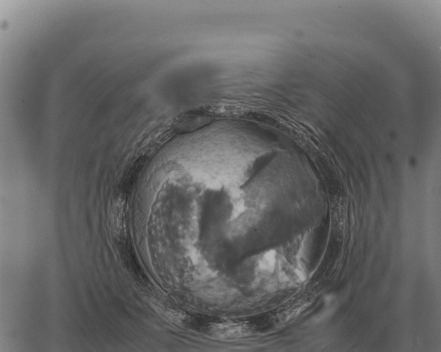 X0000066520511200603311758