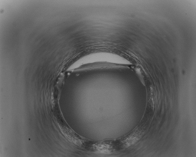 X0000066520512200603311758