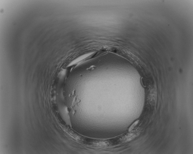 X0000066520513200603311757