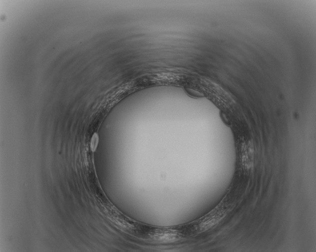 X0000066520514200603311757