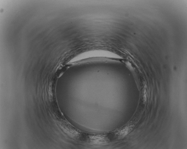 X0000066520516200603311757