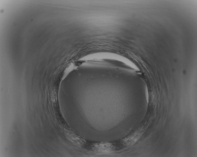 X0000066520517200603311757