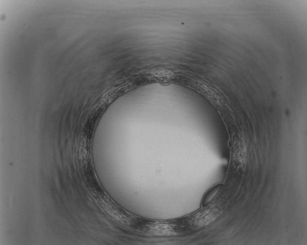 X0000066520518200603311757