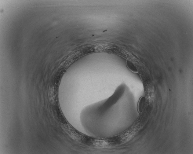 X0000066520519200603311757