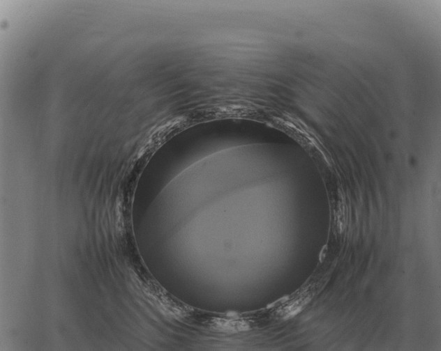 X0000066520520200603311757