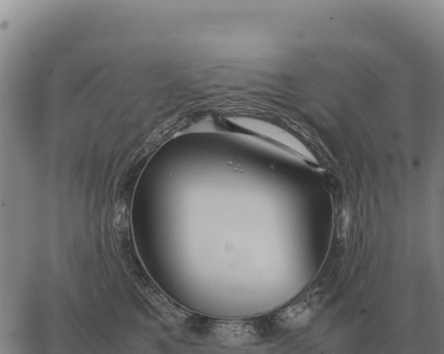 X0000066520521200603311757