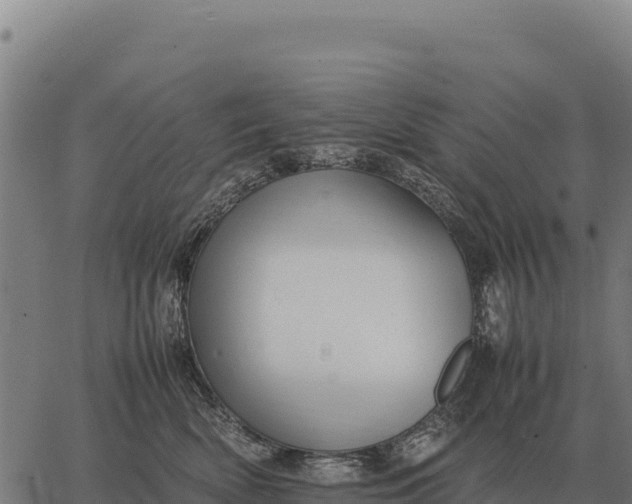 X0000066520522200603311757